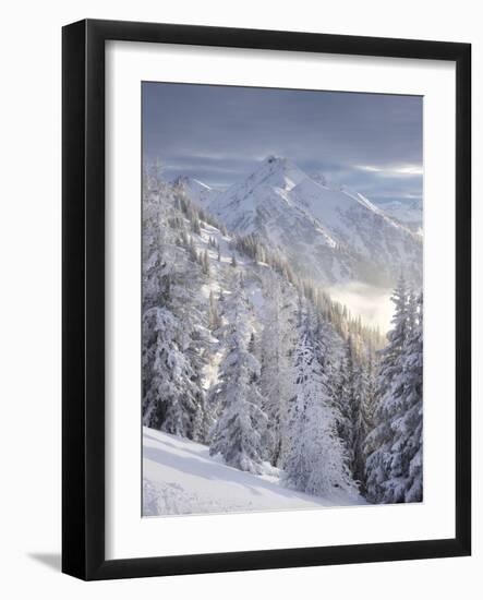 View of the Kreuzkogel to the Laderdinger Gamskarspitz, Salzburg, Austria-Rainer Mirau-Framed Photographic Print