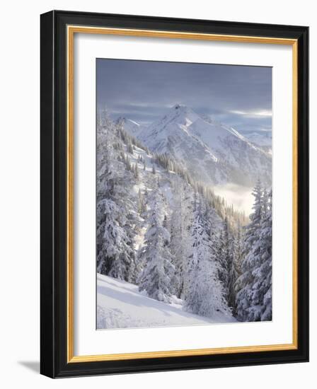 View of the Kreuzkogel to the Laderdinger Gamskarspitz, Salzburg, Austria-Rainer Mirau-Framed Photographic Print