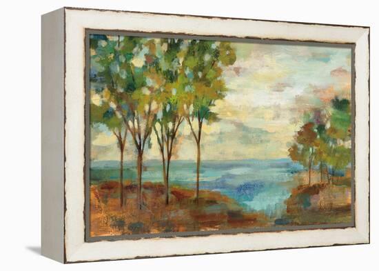 View of the Lake-Silvia Vassileva-Framed Stretched Canvas