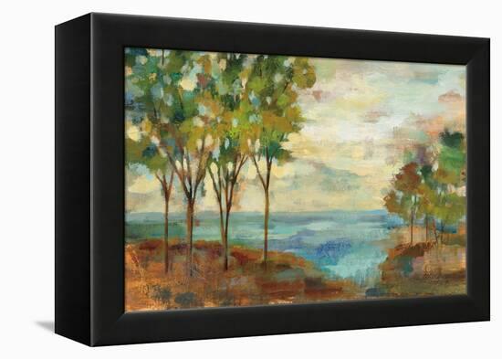 View of the Lake-Silvia Vassileva-Framed Stretched Canvas