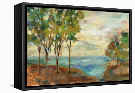 View of the Lake-Silvia Vassileva-Framed Stretched Canvas