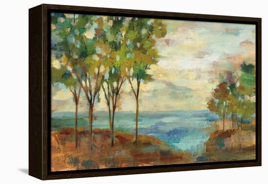 View of the Lake-Silvia Vassileva-Framed Stretched Canvas