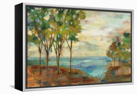 View of the Lake-Silvia Vassileva-Framed Stretched Canvas