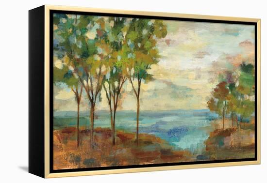 View of the Lake-Silvia Vassileva-Framed Stretched Canvas