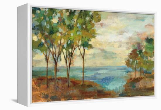 View of the Lake-Silvia Vassileva-Framed Stretched Canvas