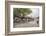 View of the Main Street of the Commercial City of Bagdogra, West Bengal. India-Roberto Moiola-Framed Photographic Print