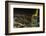 View of the Main Tower to Frankfurt-Armin Mathis-Framed Photographic Print