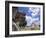 View of the Mayan site of Chichen Itza, Yucatan, Mexico-Greg Johnston-Framed Photographic Print