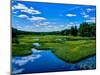 View of the Middle Branch Moose River, Adirondack Mountains, New York State, USA-null-Mounted Photographic Print