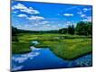 Photographic Print