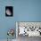 View of the Moon's North Pole-Stocktrek Images-Mounted Photographic Print displayed on a wall