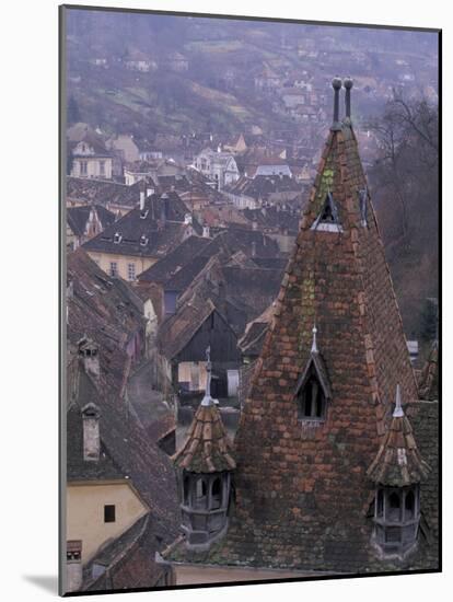 View of the Old City, Sighishoara, Romania-Gavriel Jecan-Mounted Photographic Print