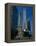 View of the Old Water Tower-Jim Schwabel-Framed Premier Image Canvas