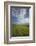 View of the Palouse from grassy hillside near Farmington, Washington State.-Alan Majchrowicz-Framed Photographic Print