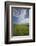 View of the Palouse from grassy hillside near Farmington, Washington State.-Alan Majchrowicz-Framed Photographic Print