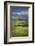 View of the Palouse from grassy hillside near Farmington, Washington State.-Alan Majchrowicz-Framed Photographic Print