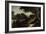 View of the Park in Pavlovsk-Mikhail Ivanovich Lebedev-Framed Giclee Print