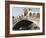 View of the Rialto Bridge on the Grand Canal Built in the Sixteenth Century, Venice, Italy-Prisma-Framed Photographic Print