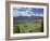 View of the Sawtooth Mountain Range from Galena Summit in Custer County, Idaho, Usa-David R. Frazier-Framed Photographic Print