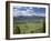 View of the Sawtooth Mountain Range from Galena Summit in Custer County, Idaho, Usa-David R. Frazier-Framed Photographic Print