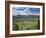 View of the Sawtooth Mountain Range from Galena Summit in Custer County, Idaho, Usa-David R. Frazier-Framed Photographic Print