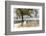 View of the Sea of Zanj from Dock, Mozambique Island, Mozambique-Alida Latham-Framed Photographic Print