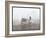 View of the Steamship "C.W. Morse", Presumably on the Hudson River Near West Point Upon the Visit…-Byron Company-Framed Giclee Print