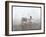 View of the Steamship "C.W. Morse", Presumably on the Hudson River Near West Point Upon the Visit…-Byron Company-Framed Giclee Print