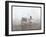 View of the Steamship "C.W. Morse", Presumably on the Hudson River Near West Point Upon the Visit…-Byron Company-Framed Giclee Print