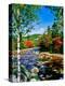 Stretched Canvas Print
