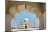 View of the Taj Mahal, Agra, Uttar Pradesh, India-null-Mounted Photographic Print