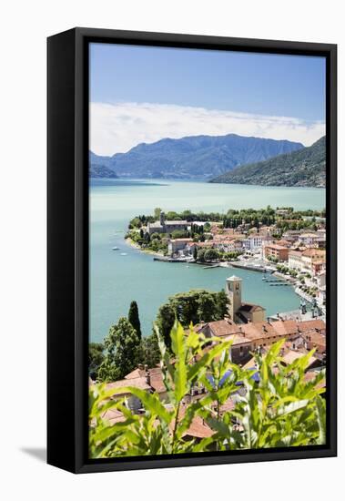 View of the typical village of Gravedona surrounded by Lake Como and gardens, Italian Lakes, Italy-Roberto Moiola-Framed Premier Image Canvas