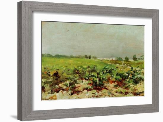 View of the Vineyards, 1880-Henri de Toulouse-Lautrec-Framed Giclee Print