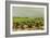 View of the Vineyards, 1880-Henri de Toulouse-Lautrec-Framed Giclee Print