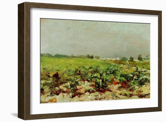 View of the Vineyards, 1880-Henri de Toulouse-Lautrec-Framed Giclee Print