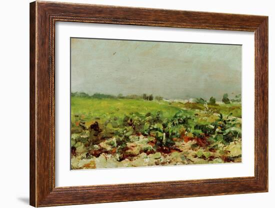 View of the Vineyards, 1880-Henri de Toulouse-Lautrec-Framed Giclee Print