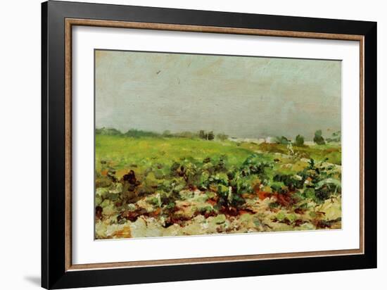 View of the Vineyards, 1880-Henri de Toulouse-Lautrec-Framed Giclee Print