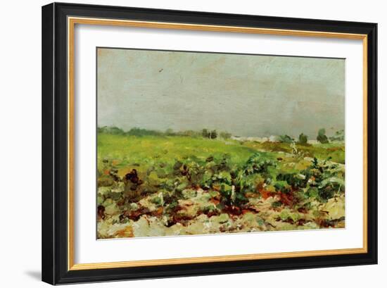 View of the Vineyards, 1880-Henri de Toulouse-Lautrec-Framed Giclee Print