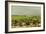 View of the Vineyards, 1880-Henri de Toulouse-Lautrec-Framed Giclee Print