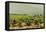 View of the Vineyards, 1880-Henri de Toulouse-Lautrec-Framed Premier Image Canvas