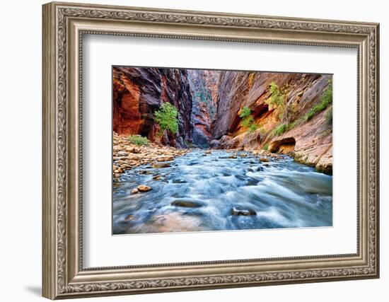 View of the Virgin River-prochasson-Framed Photographic Print