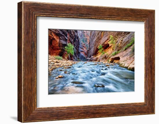 View of the Virgin River-prochasson-Framed Photographic Print