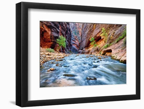 View of the Virgin River-prochasson-Framed Photographic Print