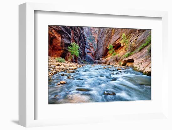 View of the Virgin River-prochasson-Framed Photographic Print