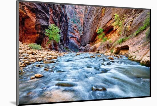 View of the Virgin River-prochasson-Mounted Photographic Print