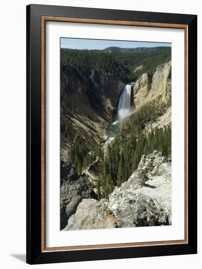 View of the Waterfall in the Grand Canyon of the Yellowstone, Yellowstone National Park, Wyoming-Natalie Tepper-Framed Photo