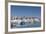 View of Town and Port, Saint Vaast La Hougue, Normandy, France-Walter Bibikow-Framed Photographic Print