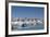 View of Town and Port, Saint Vaast La Hougue, Normandy, France-Walter Bibikow-Framed Photographic Print