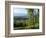View of Town with Mountain, Vermont, USA-Walter Bibikow-Framed Photographic Print