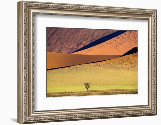 View of tree on desert and dunes , Sossusvlei, Namib-Naukluft National Park, Namibia-Panoramic Images-Framed Photographic Print